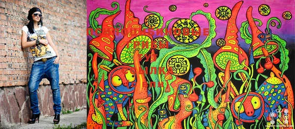 ECSTASY Баксан